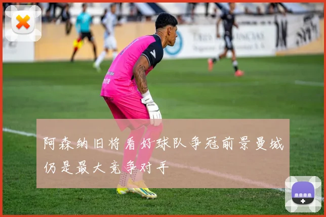 阿森纳旧将看好球队争冠前景曼城仍是最大竞争对手