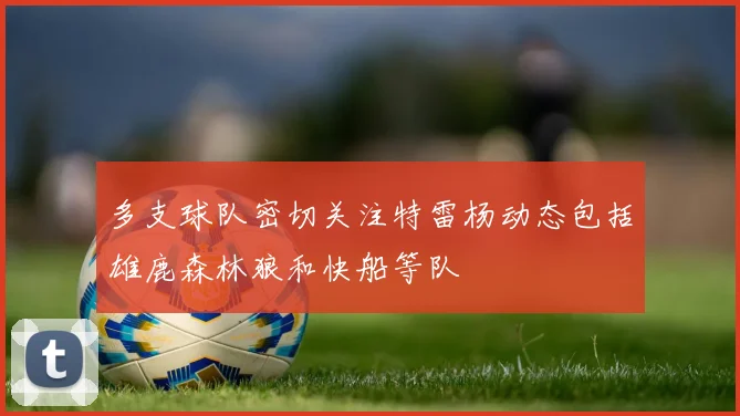 多支球队密切关注特雷杨动态包括雄鹿森林狼和快船等队