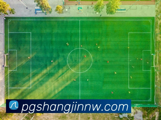 PG电子赏金女王全站App