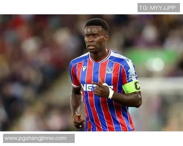 水晶宫计划一月出售格伊夏窗报价3500万不动摇